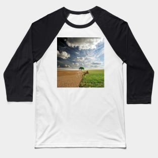 Seasons Baseball T-Shirt